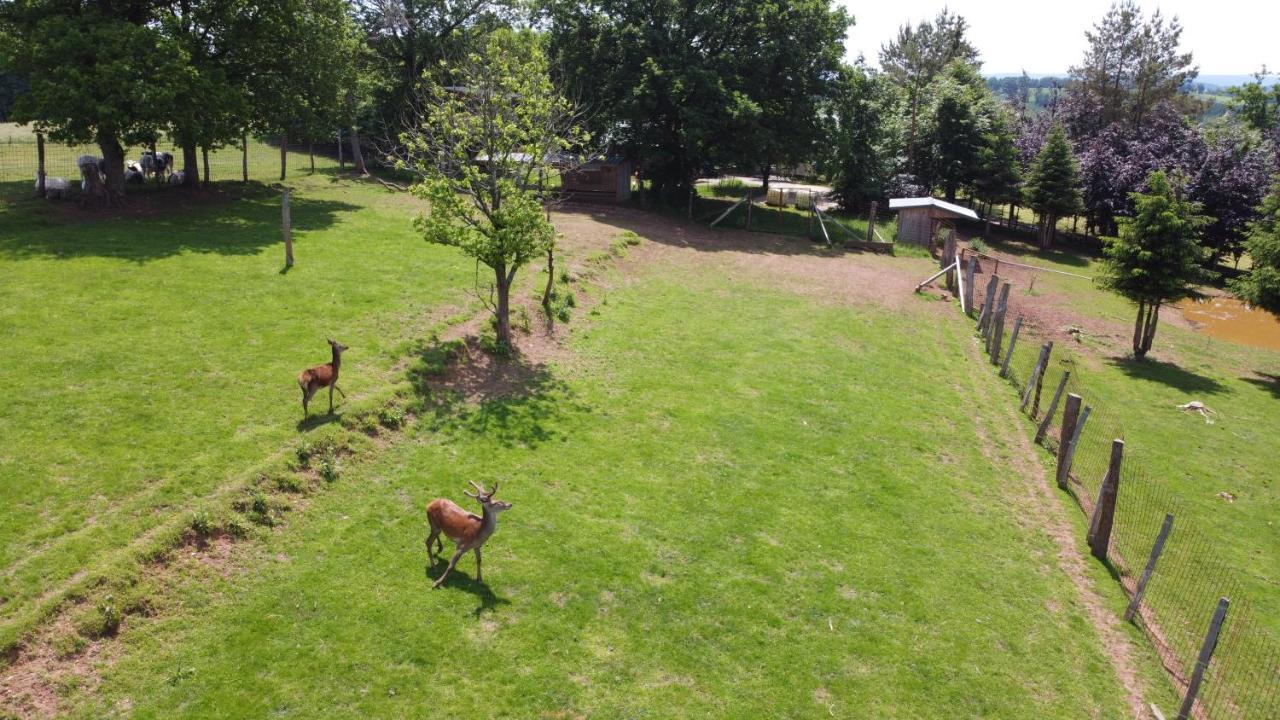 Vila Brochepierre 28 Pers- Vue Exceptionnelle - Malmedy Exteriér fotografie